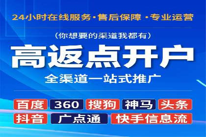 行业报告：专业SEM托管的成功实践与挑战